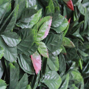 decoracion muro verde cancun