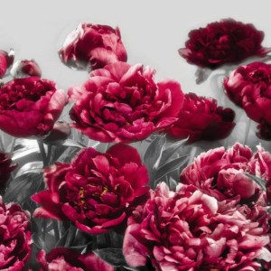 papel tapiz playa cancun