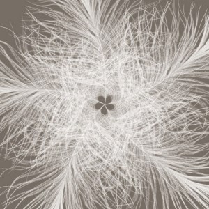 papel tapiz playa cancun