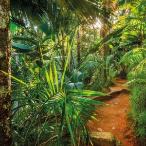 papel tapiz playa cancun