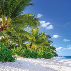 papel tapiz playa cancun